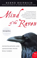   Mind of a Raven